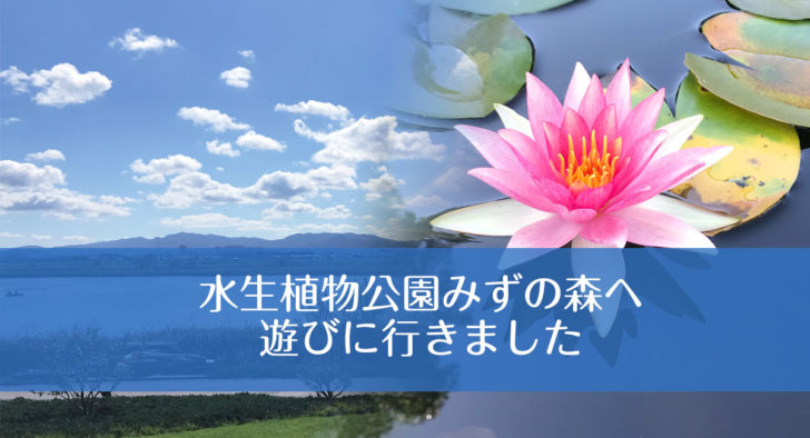 家族でも 恋人どうしでも 草津市立水生植物公園みずの森のご紹介 プリンセスビジョン