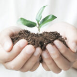 広告は「育てる」もの