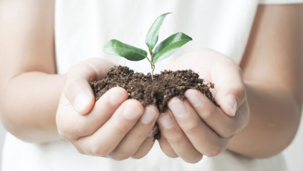 広告は「育てる」もの